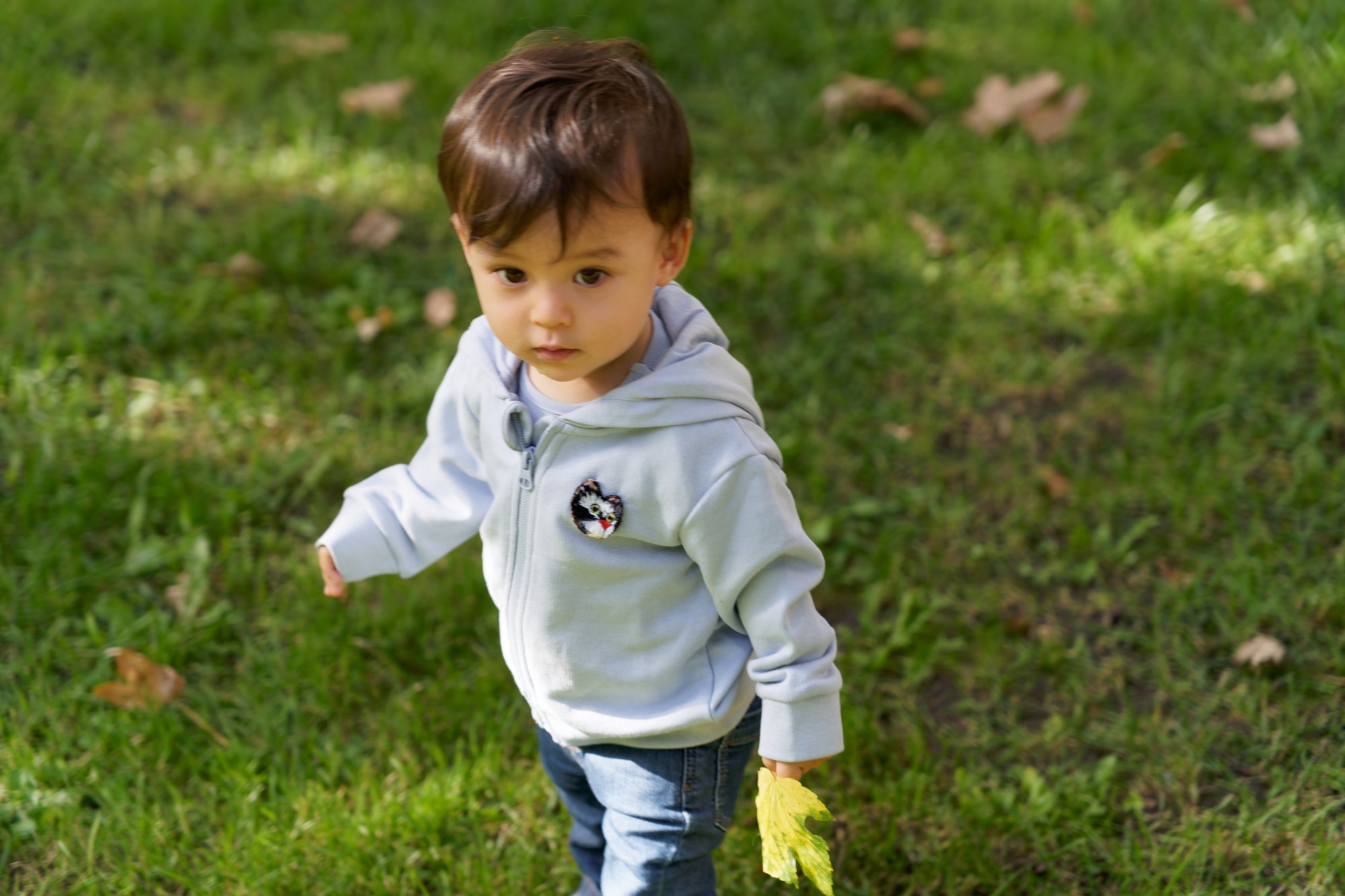 Fabrique by Ambali one year old light blue hoodie with cat embroidery